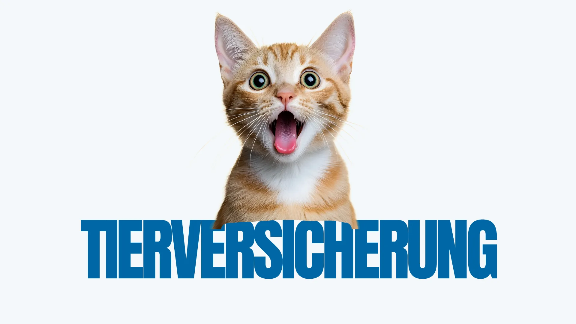 Arbeitsvertrag rechtlich pr&uuml;fen